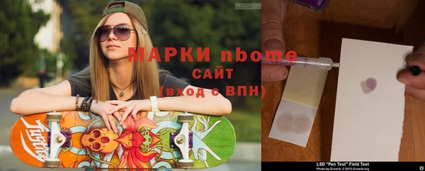 ГАЛЛЮЦИНОГЕННЫЕ ГРИБЫ Бородино