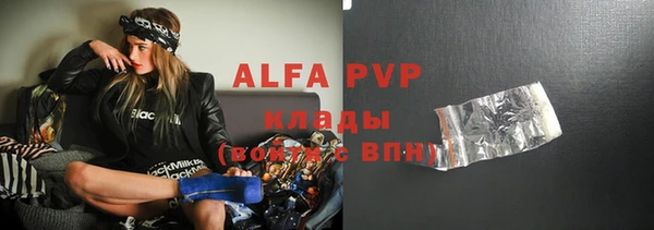 прущие грибы Белокуриха