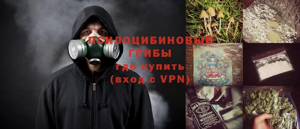 мдма Богородицк