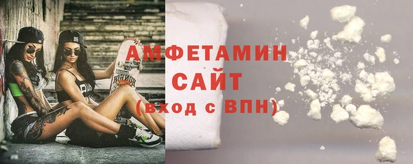 прущие грибы Белокуриха