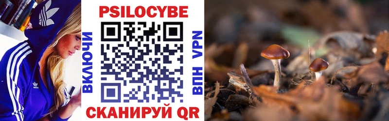 Галлюциногенные грибы прущие грибы Бежецк